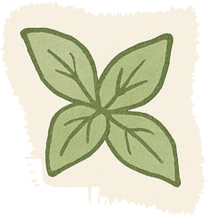 Decorative basil